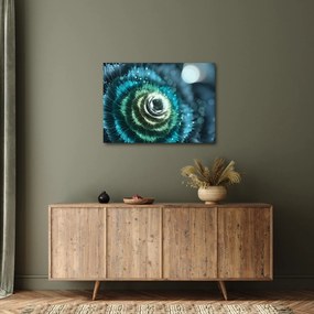 Obraz - Kvet v detaile (70x50 cm)