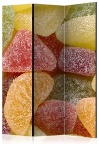 Artgeist Paraván - Tasty fruit jellies [Room Dividers]