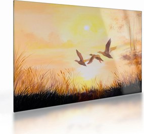 Sklenený obraz - Žeriavy pri západe slnka (70x50 cm)