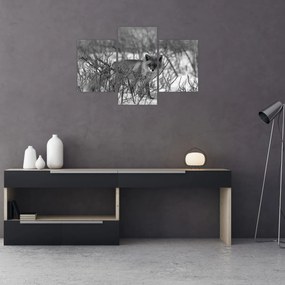 Obraz - Líška v zime (90x60 cm)