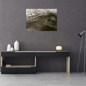Obraz - Detailné fotografie starého slonieho oka (70x50 cm)