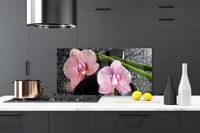 Sklenený obklad Do kuchyne Kvety orchidea kamene zen 100x50 cm