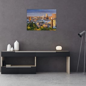 Obraz - Panorama Rotterdamu, Holandsko (70x50 cm)