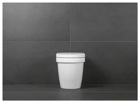 Villeroy & Boch ARCHITECTURA - Záchodové sedátko s poklopom, s funkciou QuickRelease a SoftClosing, biela alpin 98M9C101