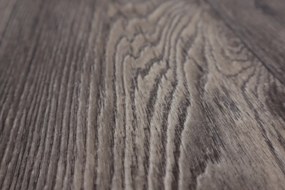 Beauflor, PVC podlaha - lino Toptex Aged Oak 967M, na mieru, šíře 5m, šedá, filc, chodba / predsieň