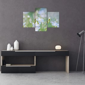 Obraz - Jemné kvety (90x60 cm)