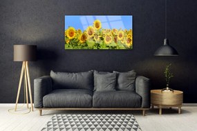 Obraz na skle Slnečnica kvet rastlina 140x70 cm