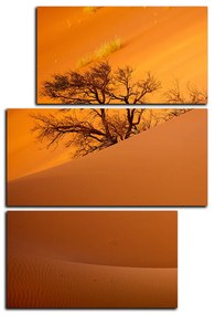 Obraz na plátne - Červené piesočné duny - obdĺžnik 7133D (90x60 cm)
