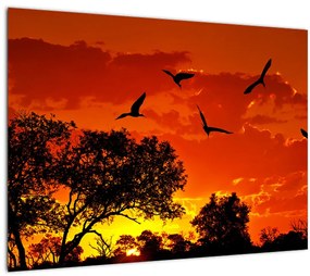 Obraz vtákov pri západe slnka (70x50 cm)