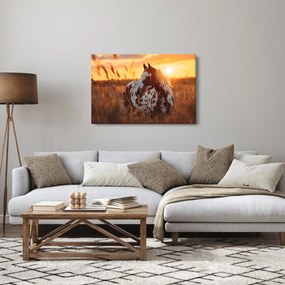 Obraz - Kôň pri západe slnka (90x60 cm)