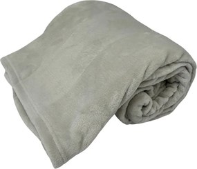 Home Elements Mikroflanelová deka, svetlá šedá