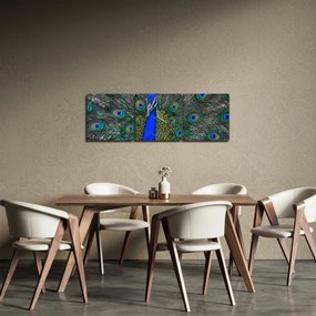 Obraz - Páv (s hodinami) (90x30 cm)