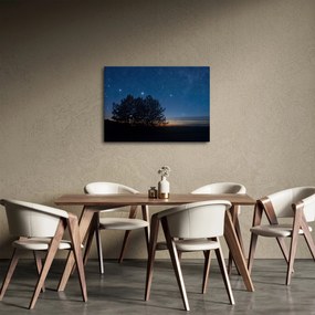 Obraz stromov v noci (70x50 cm)