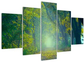 Obraz cesty lemovanej stromami (150x105 cm)