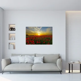 braz poľa vlčích makov (90x60 cm)