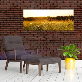 Obraz orosenej trávy (120x50 cm)