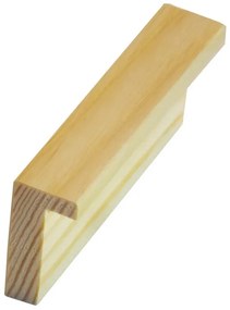 DANTIK rám na obraz 20x30 | KASSETTE jasan malá (Sklo Čiré)