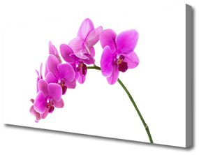 Obraz Canvas Vstavač kvet orchidea 125x50 cm