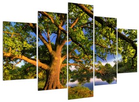 Obraz stromu pri jazere (150x105 cm)