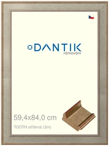 DANTIK rám na obraz 59,4x84 | TOOTH stříbrná (Plexi Čiré)
