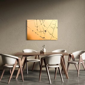 Obraz orosenej pavučiny (90x60 cm)