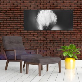 Obraz - Čiernobiely cottongrass (120x50 cm)
