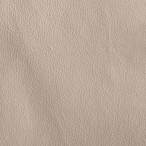 Kožené kreslo Dubaj LUX, béžová (K-11)