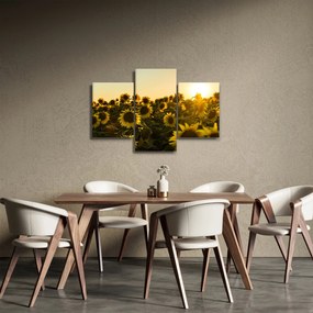 Obraz slnečnicového poľa (90x60 cm)
