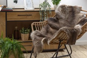 Koberec RENIFER POK010 hnedý