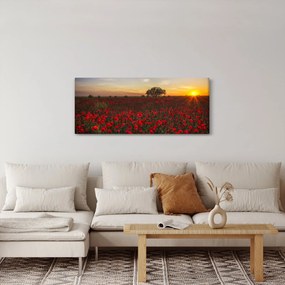 Obraz lúky s vlčími makmi (120x50 cm)