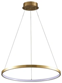 Polux LED Luster na lanku LEA LED/20W/230V 4000K pr. 50 cm zlatá SA2213