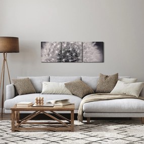 Obraz púpavy (s hodinami) (90x30 cm)