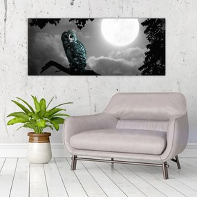 Obraz - Nočná sova, modrá (120x50 cm)