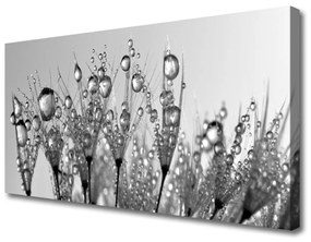 Obraz Canvas Abstrakcie rastlina príroda 140x70 cm