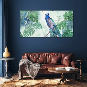 Skleneny obraz Vetva listy vták páv
