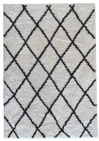 Koberec Shaggy Blizz 1,6/2,3 79803