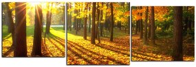 Obraz na plátne - Jesenný les - panoráma 5176D (90x30 cm)