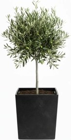 Květináč FLORE Beton 41x39,5x39,5 cm černý