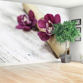 Fototapeta Vliesová Orchideovej drevo 250x104 cm