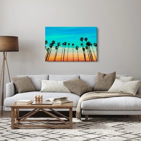 Obraz - Kalifornia (90x60 cm)