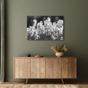 Obraz - Letná lúka (90x60 cm)