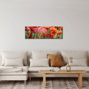 Obraz z poľa vlčích makov (s hodinami) (90x30 cm)