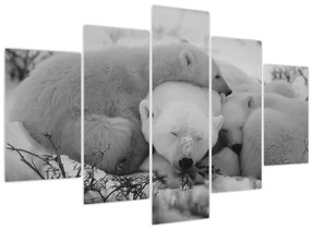 Obraz - Ľadové medvedíky, čiernobiela (150x105 cm)