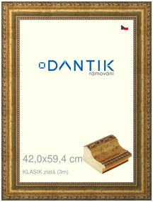 DANTIK rám na obraz 42x59,4 | KLASIK zlatá (Plexi Čiré)