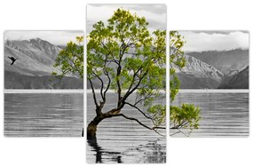 Obraz stromu uprostred jazera (90x60 cm)