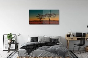 Obraz plexi Oblohy stromu 125x50 cm