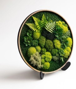 DUBLEZ | Drevený obraz s 3D efektom machu - Papradie