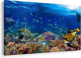 Obraz - Oceán (90x60 cm)
