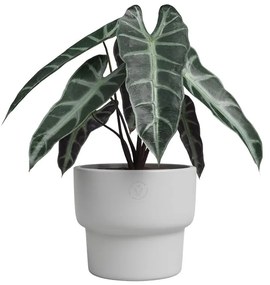 Keramický ručne vyrobený kvetináč ø 17 cm Echo – Artevasi