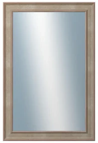 DANTIK - Zrkadlo v rámu, rozmer s rámom 40x60 cm z lišty TOOTH malá strieborná (3162)